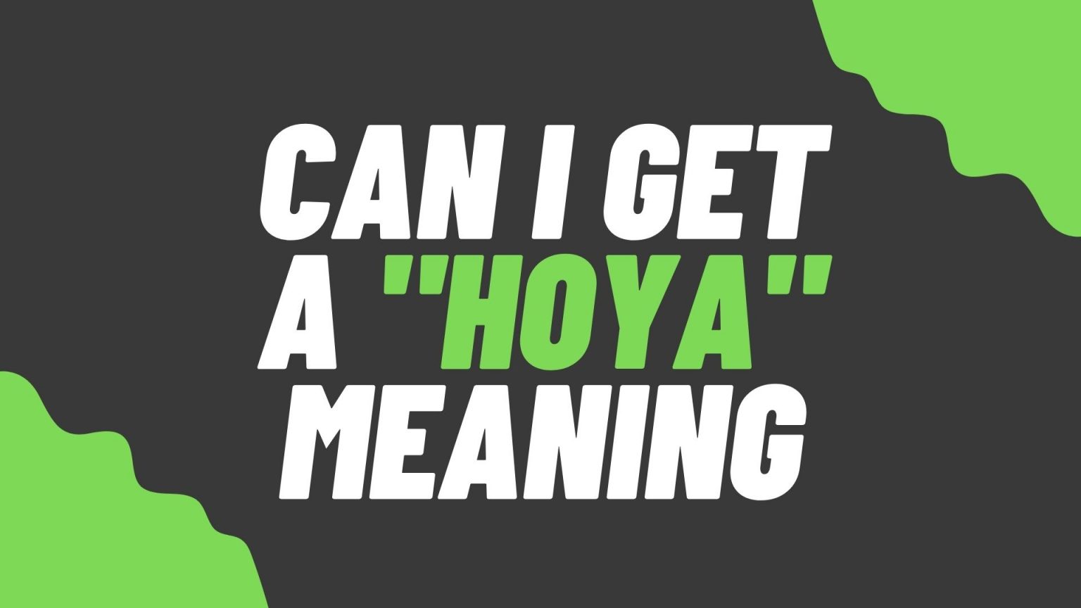 Can i Get a Hoya Meaning